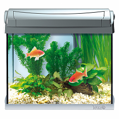 Tetra AquaArt LED Goldfish аквариумный комплекс 20 л