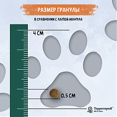 ТЕРРИТОРИЯ КАВКАЗ для котят (ИНДЕЙКА, БРУСНИКА), 350 г