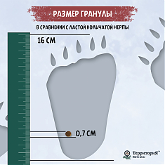 ТЕРРИТОРИЯ ТАЙМЫР для взрослых кошек (РЫБА, БРУСНИКА), 5 кг