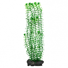 Tetra Deco Art искусственное растение Элодея L (30 см)
