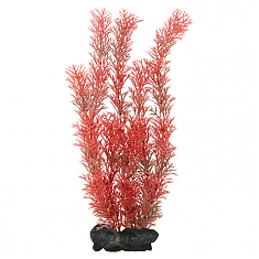 Tetra Deco Art искусственное растение Перистолистник L (30 см)