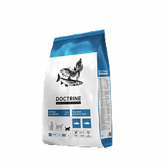 DOCTRINE Корм для котят с Лососем и белой рыбой 10 кг